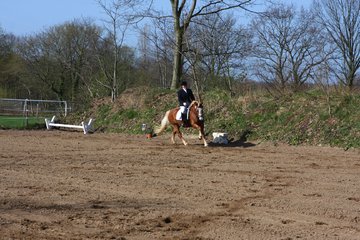 Bild 14 - WBO-Turnier am 9.4.11